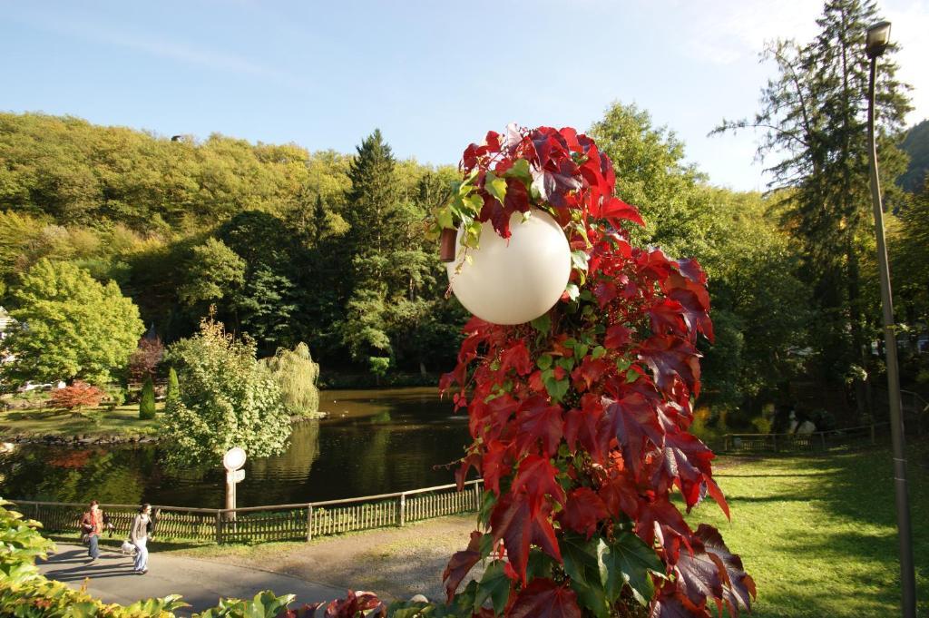 Bertricher Hof Hotel Garni Bad Bertrich Exteriör bild